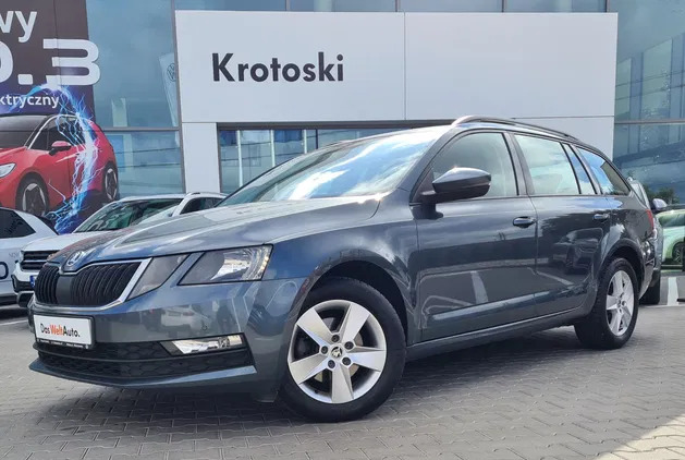 skoda octavia Skoda Octavia cena 69900 przebieg: 142442, rok produkcji 2019 z Łódź